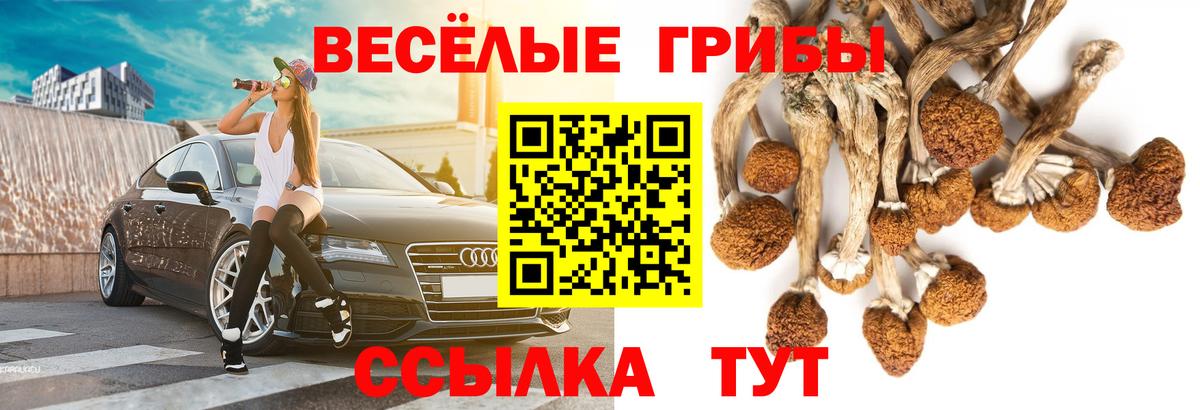 Дагестанские Огни  Псилоцибиновые грибы ЛСД  Псилоцибиновые грибы Magic Shrooms  Вход с VPN 